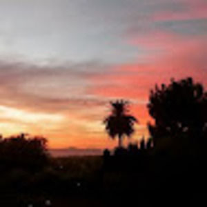 Meet your Posher, Blair